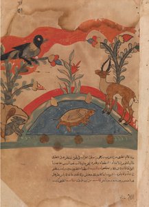 Die Gazelle wird Freunde mit der Krähe, der Maus und der Schildkröte von Unbekannt