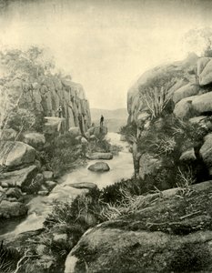 Die Schlucht, Buffalo Falls, Viktorianische Alpen, 1901