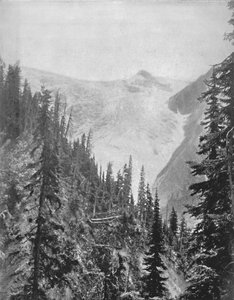 Der Illicilliwaet-Gletscher, 19. Jahrhundert