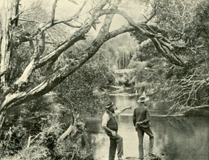 Der Startplatz, Upper Yarra, Victoria, 1901 von Unbekannt