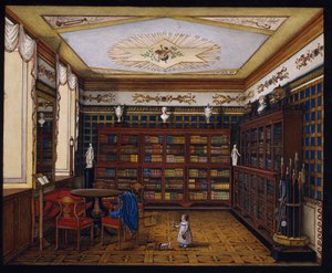 Die Bibliothek von Graf Henryk Ilinsky in Romaniv, 1824 von Unbekannt