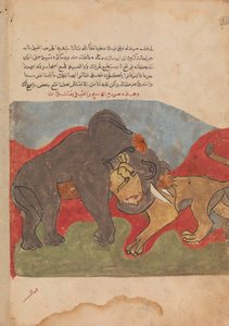 Der Löwe und der Elefant kämpfen, Folio aus einem Kalila wa Dimna, 18. Jahrhundert von Unbekannt