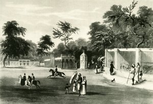 Die Menagerie im Barrackpore Park, 1820, 1925