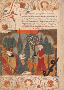 Die alte Schlange erzählt die Geschichte vom Beißen des Asketensohnes aus Versehen, Folio aus einem Kalila..., 18. Jahrhundert von Unbekannt