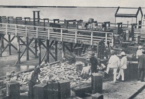 Die Perlenfischerei - Verpackung der Muscheln, 1923 von Unbekannt