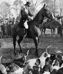 Der Prinz von Wales mit der Beaufort Jagdgesellschaft, 1923