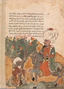 Der Vater des Schurken taucht aus dem Baum auf, Folio aus einem Kalila wa Dimna von Unbekannt