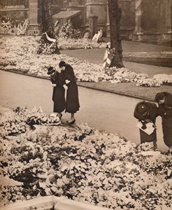 Das Staatsbegräbnis von König Georg V. in Windsor: Gedenkkränze, 1936