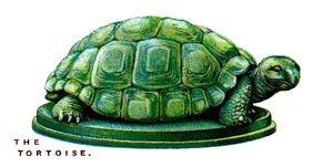 Die Schildkröte, 1923 von Unbekannt