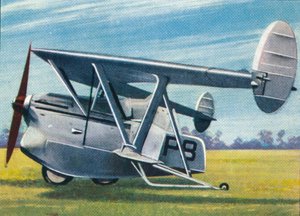 Der Westland-Hill Pterodactyl