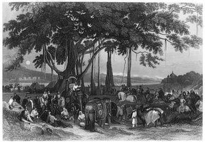 Die Ankunft der Kontingenttruppe der Sikh-Unregelmäßigen Kavallerie, Indien, ca. 1860
