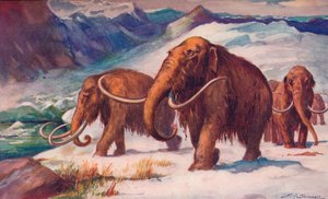 Die frühe Eiszeit, als Mammuts die Erde bevölkerten und der Mensch entstand, 1907 von Unbekannt