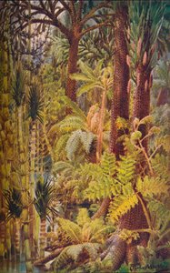 Die gigantische Vegetation des Karbonzeitalters, 1907 von Unbekannt