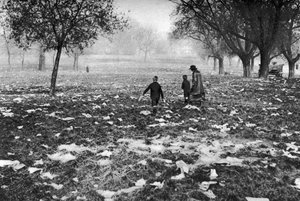Der Müll auf Hamstead Heath nach einem Feiertag, London
