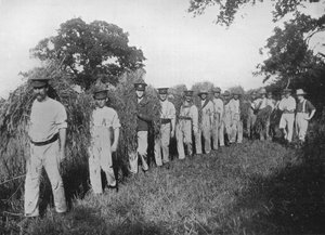 Der Mangel an Landarbeitern: Soldaten helfen bei der Ernte, 1915 von Unbekannt
