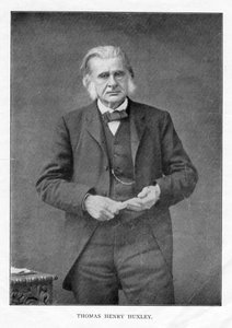 Thomas Henry Huxley, britischer Biologe, um 1870er