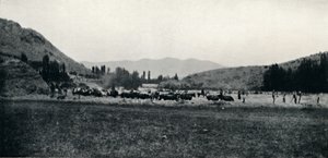 Korn dreschen auf die alte Weise, 1911 von Unbekannt
