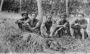 Tigerjäger, Tonkin, Vietnam, 20. Jahrhundert von Unbekannt