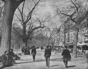 Tremont Street und The Common, Boston