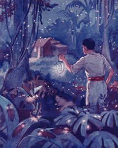 Tropische Glühwürmchen als tanzende Lichtpunkte, 1935 von Unbekannt