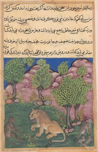 Tuti-Nama Geschichten eines Papageis: Geschichte XXVIII: Der Affe rät dem misstrauischen Löwen..., ca. 1560