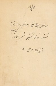 Tuti-Nama Geschichten eines Papageis, ca. 1560