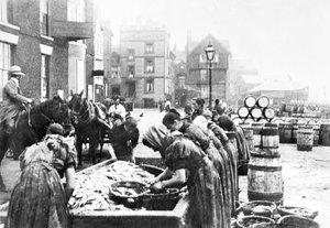 Vereinigtes Königreich: Schottische Heringsputzer bei der Arbeit in Scarborough, ca. 1890 von Unbekannt