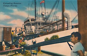Bananen entladen, Tampa, Florida, um 1940er Jahre