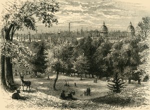 Ansicht im Greenwich Park, ca. 1878 von Unbekannt