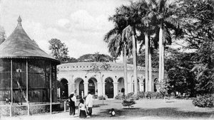 Ansicht im Zoologischen Garten, Kalkutta, Indien von Unbekannt