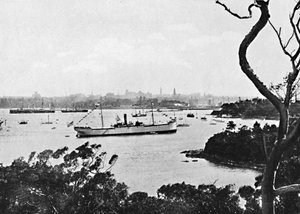 Blick auf den Hafen von Sydney von der Nordküste, Nr. 2, ca. 1900 von Unbekannt