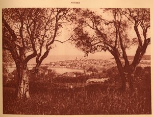 Blick durch die Olivenbäume auf Antibes, 1930
