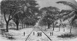 Dorf an der Westküste Afrikas, um 1880