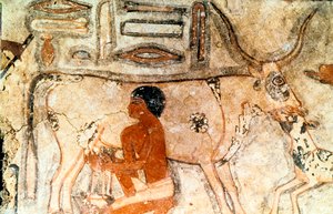 Wandmalerei aus dem Grab von Methethi, Saqqara, Altes Ägypten, Altes Reich, ca. 2371-2350 v. Chr. von Unbekannt