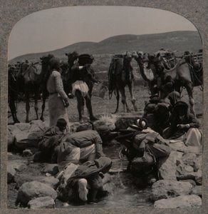 Kamele tränken am Jakobsbrunnen, ca. 1900