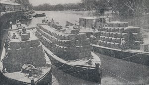 Wollkähne auf dem Murray River, 1923