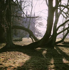 Ansicht der Nordfront, Corsham Court, Wiltshire von Unbekannt Unbekannt