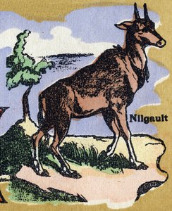 Ein Nilgault. Illustriertes Alphabet von Unbekannt