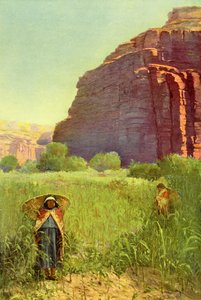 Ein Supai-Maisfeld - Cataract Canyon von Unbekannter Künstler