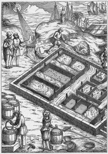 Ein Salzwiesen im 16. Jahrhundert (Gravur) von Unbekannter Künstler