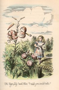 Alice im Wunderland & Durch den Spiegel, von Lewis Carroll, illustriert von John Tenniel