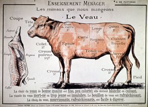 Tiere, die wir essen: das Kalb, ca. 1910 von Unbekannter Künstler