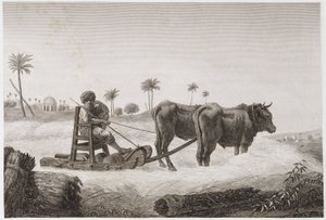 Ackerbau, Erntemaschine, Ägypten, ca. 1798 von Unbekannt