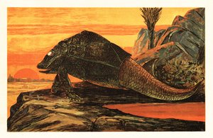 Asterolepis cornutus, ausgestorbene Art von gepanzerten Fischen. 1908 (Lithografie) von Unbekannter Künstler