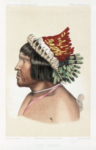 Bororo-Häuptling, Südamerika, ca. 1843-1847 von Unbekannt