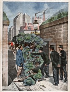 Wilderei in Paris von Nicolas Liez