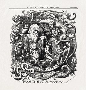 Karikatur zur Evolutionstheorie von Charles Darwin (1809-1882): "Der Mensch ist nur ein Wurm" aus "Punch", 06.12.1881