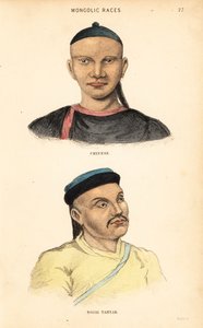 Chinesischer Mann und Tatarischer Mann der Nogai-Horde. Mongolische Rassen. Handkolorierter Stahlstich von Lizars nach einer Illustration von Charles Hamilton Smith aus seiner Natural History of the Human Species.