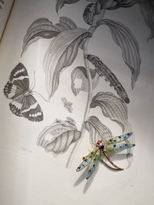 Deborah Devonshires Käfer- und Insektenschmuck auf 