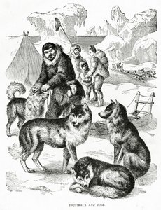 Eskimos und Hunde (1902)